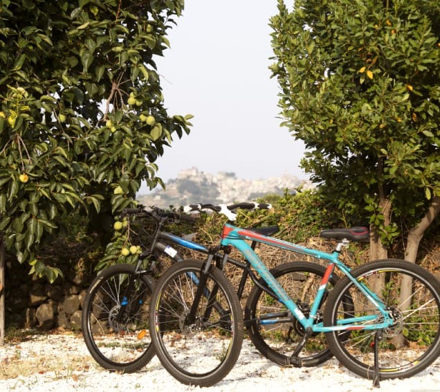 Bike Tour Guidato sull’Etna