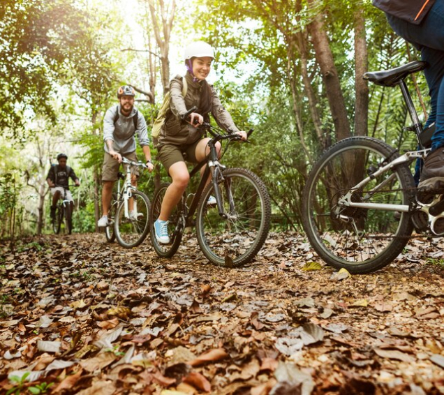 Tour in bici guidati sull’Etna