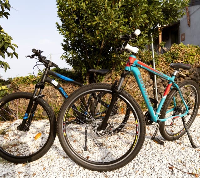 Pedala nel cuore dell’Etna, vivi la natura su due ruote