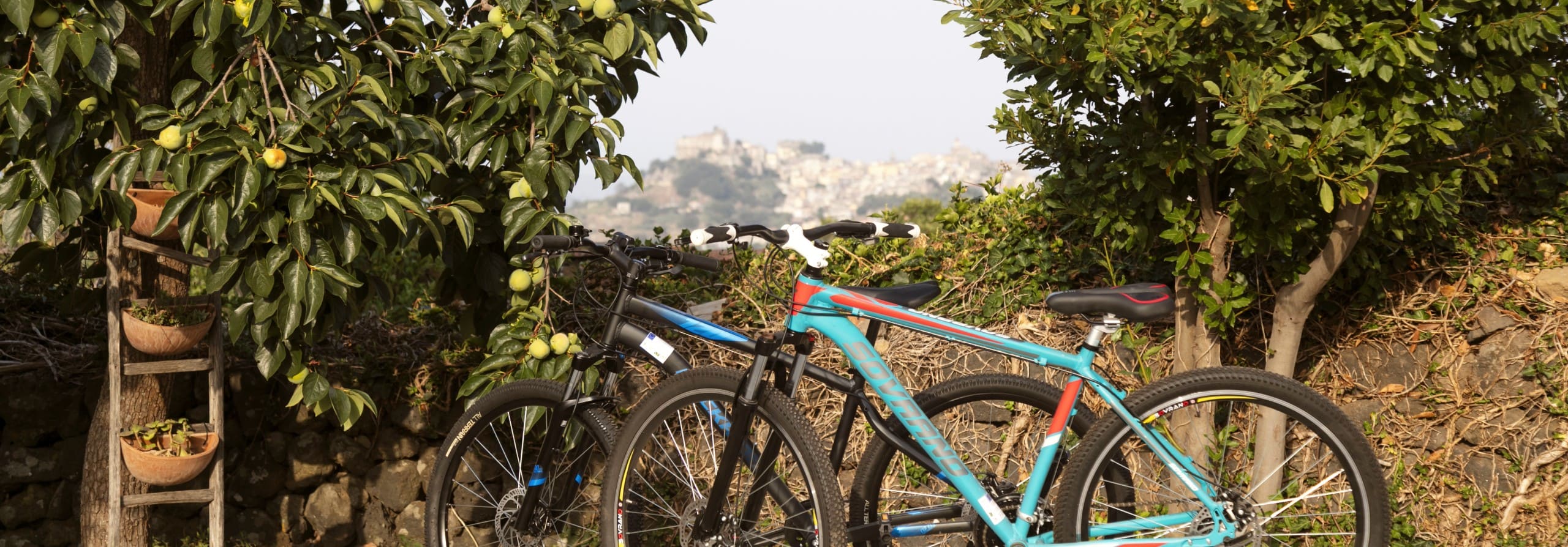 Bike Tour sull’Etna