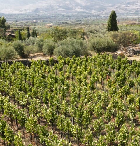 La rocca sull'Alcantera